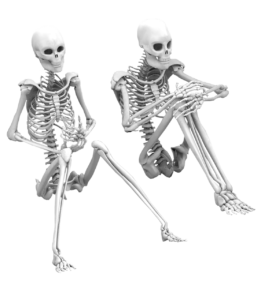 skeleton 2952199 1280