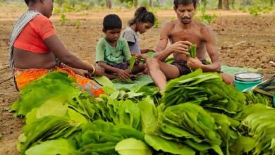 whatsapp image 2022 04 17 at 21339 am 3 1650187257