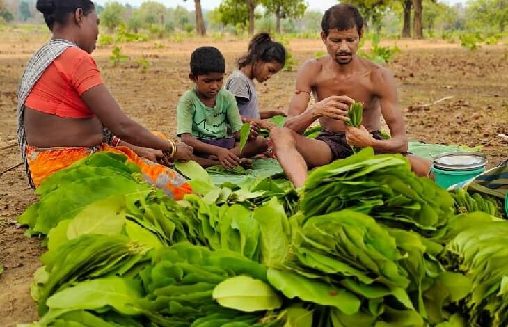 whatsapp image 2022 04 17 at 21339 am 3 1650187257