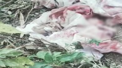 नवजात ,झाड़ियोंमेंफेंका ,नवरात्रि ,पुलिसजांच ,परिजनोंकीतलाश,Newborn, thrown in bushes, Navratri, police investigation, search for relatives,