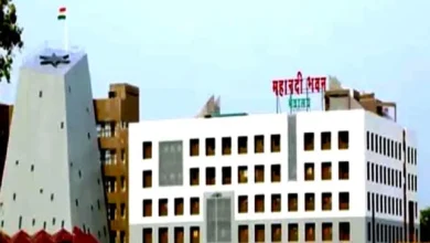 202542055181000017202542055181000007