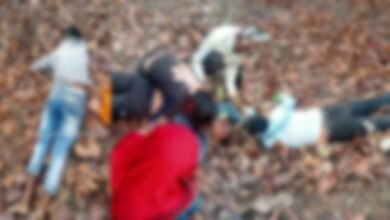 तेज रफ्तार बाइक पेड़ से टकराई, 3 युवकों की मौके पर मौत