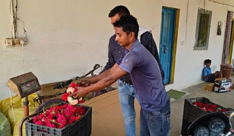 महासमुंद में फूलों की खेती बनी किसानों की नई उम्मीद 1 IMG 20250401 115847