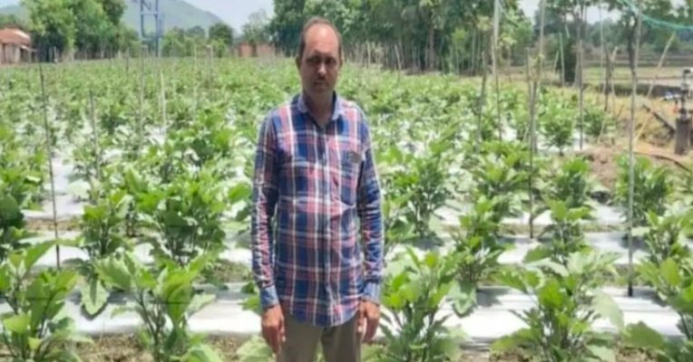 छोटे किसान रमाकांत पटेल ने आधुनिक खेती से बदली किस्मत, 0.40 हेक्टेयर में कमाए 5 लाख रुपए 1 IMG 20250428 191006