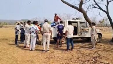 वन विभाग की बड़ी कार्रवाई, जंगली सुअर का शिकार करने वाले एक नाबालिग सहित 2 आरोपी गिरफ्तार