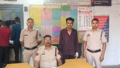 WhatsApp Image 2025 04 18 at 16.33.11