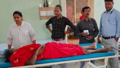 WhatsApp Image 2025 04 28 at 14.53.20