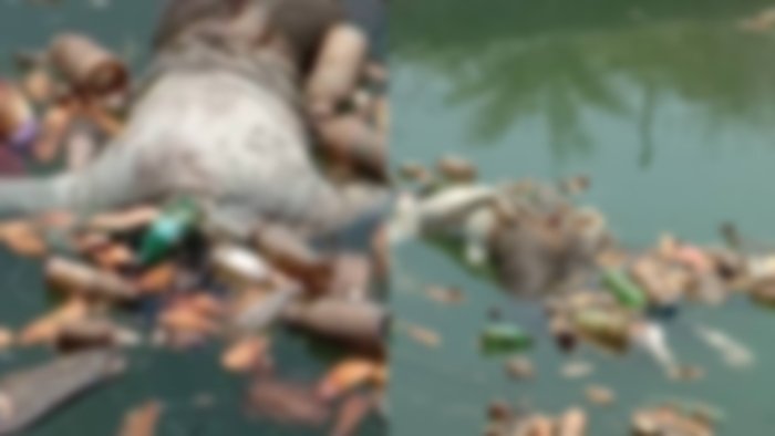 नहर में मिली युवक की लाश, जांच में जुटी पुलिस