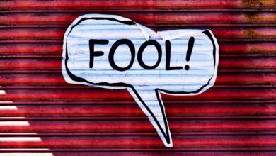 fool 4199719 1280