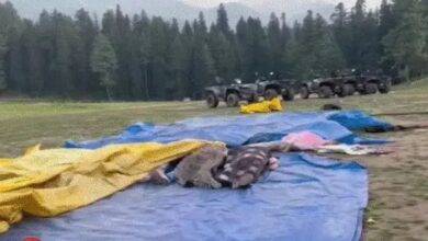 image 2025 04 23T103140.796