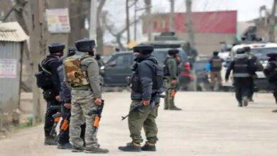 image 2025 04 24T102744.887