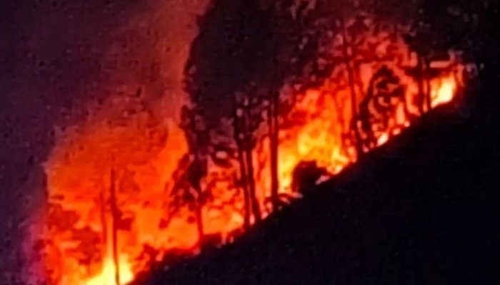 image 2025 04 28T115031.676