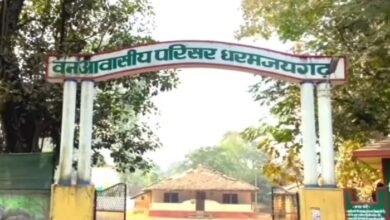 Monitoring of elephants