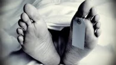 images100 copy 700x459