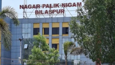 30 11 2024 nagarnigumbsp24