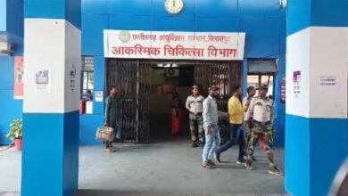 तेज आंधी ने मचाई तबाही, पेड़ गिरने से महिला गंभीर रूप से घायल