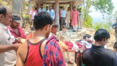 बंदरों ने किया 12 साल की बच्ची पर हमला, 200 फीट गहरी खाई में गिरी, बाल-बाल बची मासूम