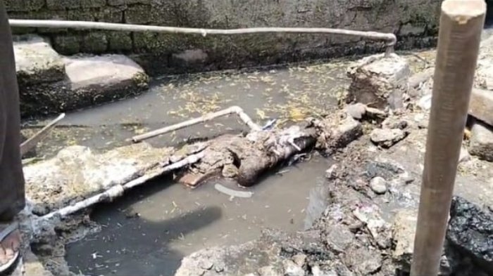 नलों से निकला रहा गंदा और बदबूदार पानी, रहवासियों में डायरिया का कहर