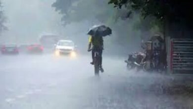 दिल्ली में मौसम का कहर: गिरे पेड़ ने ली मां और तीन बच्चों की जान, पति घायल 7 BeFunky photo 18
