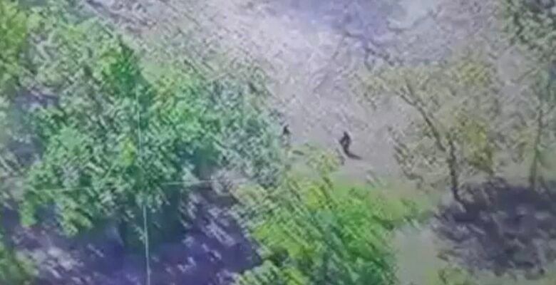 बीजापुर: तेलंगाना-बीजापुर बॉर्डर पर नक्सली हमला, 5 जवान शहीद, 8 नक्सली ढेर 1 IMG 20250508 132437