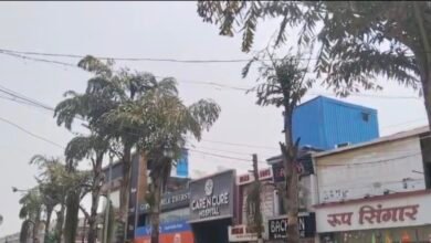 हरियाली संकट: पौधों की पुकार – हमें एसी नहीं, बस पानी चाहिए! 7 IMG 20250516 172806