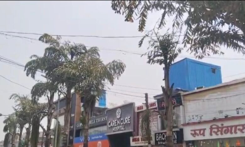 हरियाली संकट: पौधों की पुकार – हमें एसी नहीं, बस पानी चाहिए! 1 IMG 20250516 172806