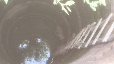 मुर्गी के लालच में कुएं में गिरा तेंदुआ, वन विभाग की टीम ने किया रेस्क्यू