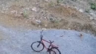 कुत्ते के मासूम पिल्लों के साथ क्रूरता, बोरे में भरकर पटका, एक को 15 फ़ीट गड्ढे में फेंका