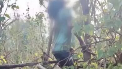 मानसिक रोगी युवक की पेड़ पर लटकी मिली लाश, जांच में जुटी पुलिस