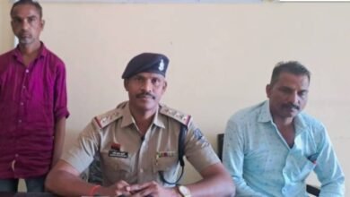 ससुर ने शराब पीने से किया मना, दामाद से पत्थर से कुचलकर की हत्या