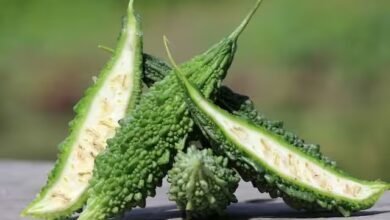 WhatsApp Image 2025 05 08 at 17.13.57