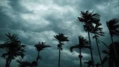 befunky 2025 4 3 11 27 44