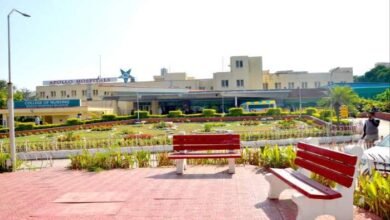 befunky 2025 4 5 18 35 30