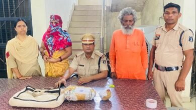 befunky 2025 4 5 19 50 36