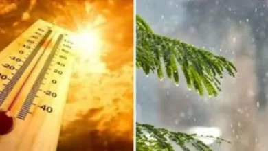 download 2025 04 18T123742.843 1