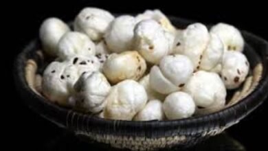 image 2025 05 02T120649.162