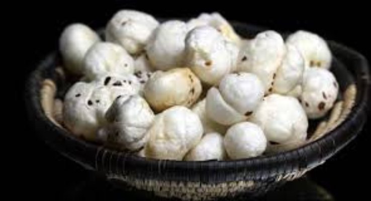 image 2025 05 02T120649.162