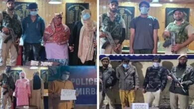 image 2025 05 15T120631.487