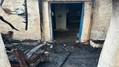 image 2025 05 18T140741.089