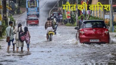 image 2025 05 27T102722.415