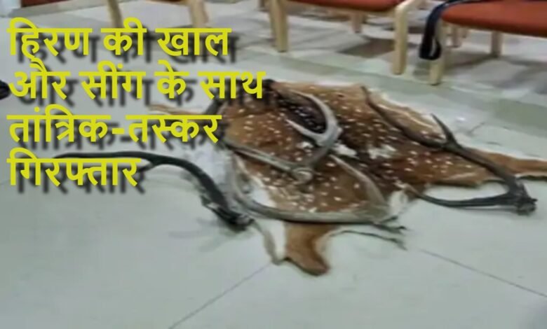रायपुर में हिरण की खाल-सींग के साथ तांत्रिक-तस्कर गिरफ्तार 1 खाल-सींग के साथ तांत्रिक-तस्कर