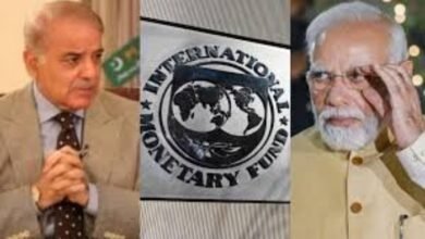 पाकिस्तान को कर्ज देना कितना खतरनाक है, भारत ने IMF में खोली पोल 1 image 44