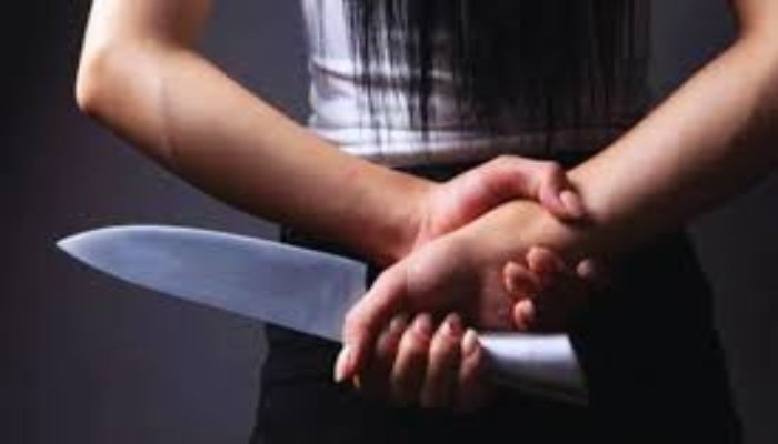 दरभंगा में महिला डांसर ने छेड़खानी का विरोध करते हुए तीन युवकों पर किया चाकू से हमला 1 image 71 1