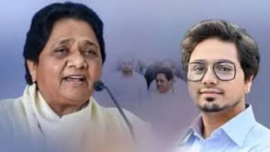 2027 के मिशन में जुटे आकाश आनंद, BSP में चला बड़ा बदलाव का दौर 6 image 80