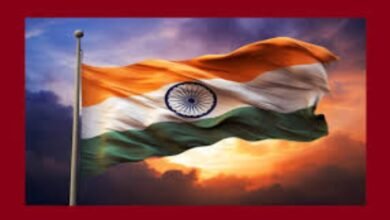 भारत की एयर स्ट्राइक पर जश्न का माहौल, सड़कों पर तिरंगा लेकर उतरे लोग 2 image 9