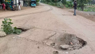 4702777 untitled 33 copy