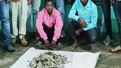 बलरामपुर: पैंगोलिन की तस्करी करते दो तस्कर गिरफ्तार, 6 किलो स्केल बरामद 8 4712954 untitled 29 copy