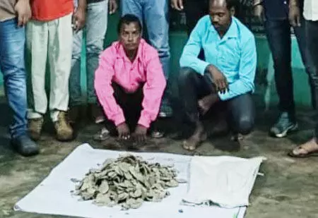 4712954 untitled 29 copy