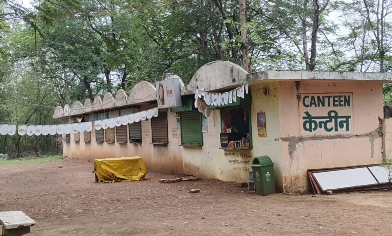 अव्यवस्थाओं से जूझ रहा कानन पेंडारी, घट रही पर्यटकों की संख्या 1 IMG 20250619 WA0025