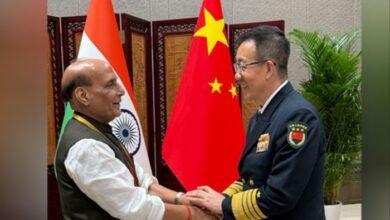 befunky 2025 5 5 10 6 1